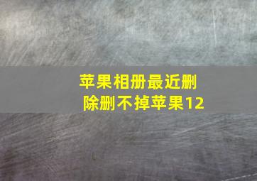 苹果相册最近删除删不掉苹果12