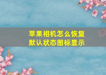 苹果相机怎么恢复默认状态图标显示