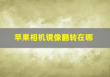 苹果相机镜像翻转在哪