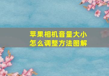 苹果相机音量大小怎么调整方法图解