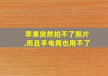 苹果突然拍不了照片,而且手电筒也用不了