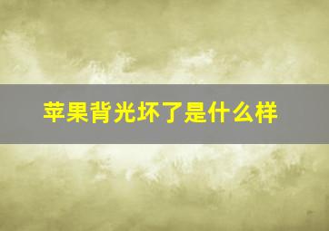 苹果背光坏了是什么样