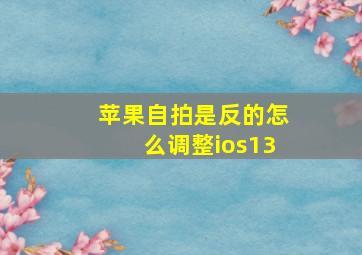 苹果自拍是反的怎么调整ios13