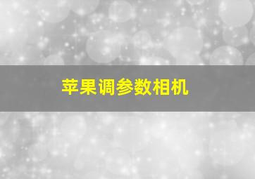 苹果调参数相机