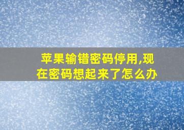 苹果输错密码停用,现在密码想起来了怎么办