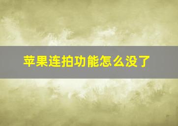 苹果连拍功能怎么没了