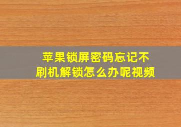 苹果锁屏密码忘记不刷机解锁怎么办呢视频