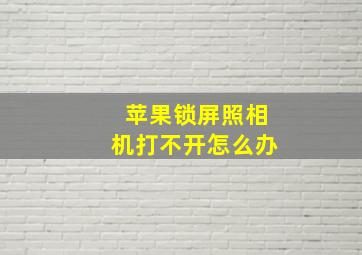 苹果锁屏照相机打不开怎么办