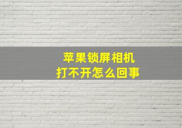 苹果锁屏相机打不开怎么回事