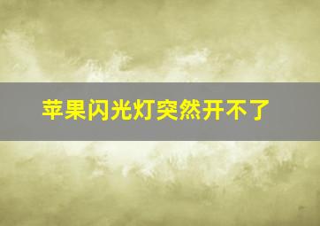 苹果闪光灯突然开不了