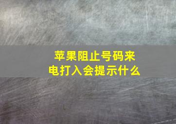 苹果阻止号码来电打入会提示什么