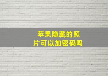 苹果隐藏的照片可以加密码吗