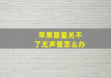 苹果音量关不了无声音怎么办