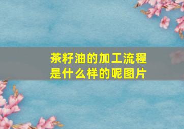 茶籽油的加工流程是什么样的呢图片