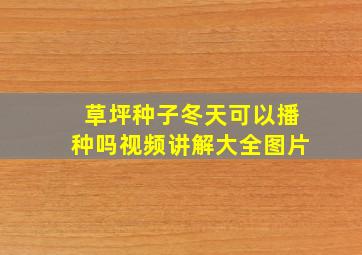 草坪种子冬天可以播种吗视频讲解大全图片