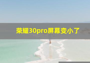 荣耀30pro屏幕变小了