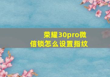 荣耀30pro微信锁怎么设置指纹