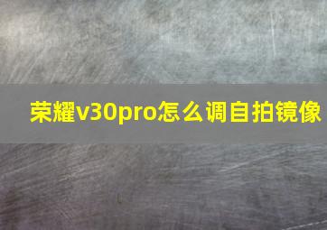 荣耀v30pro怎么调自拍镜像