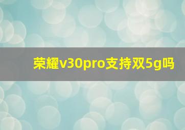 荣耀v30pro支持双5g吗