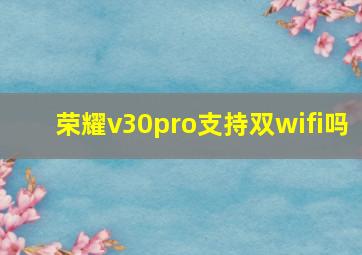 荣耀v30pro支持双wifi吗