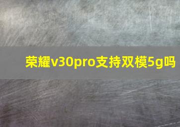 荣耀v30pro支持双模5g吗