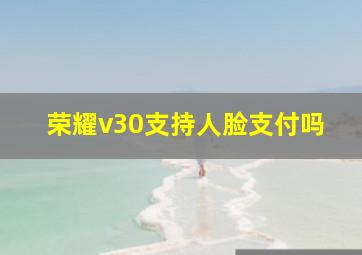 荣耀v30支持人脸支付吗