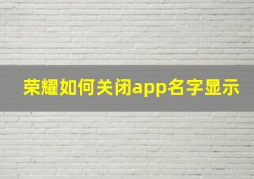 荣耀如何关闭app名字显示