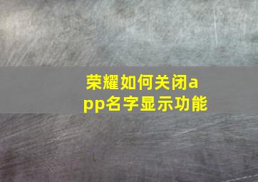 荣耀如何关闭app名字显示功能