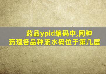 药品ypid编码中,同种药理各品种流水码位于第几层