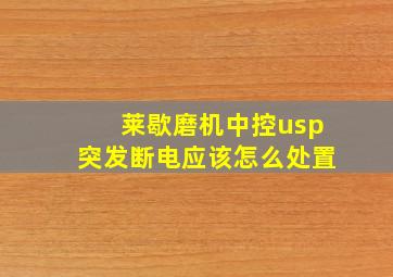 莱歇磨机中控usp突发断电应该怎么处置