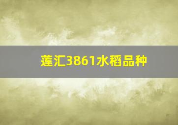 莲汇3861水稻品种