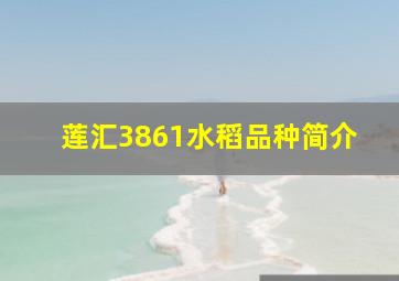 莲汇3861水稻品种简介