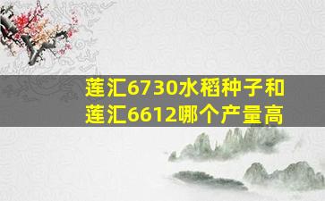 莲汇6730水稻种子和莲汇6612哪个产量高