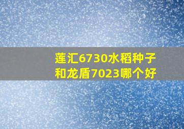 莲汇6730水稻种子和龙盾7023哪个好