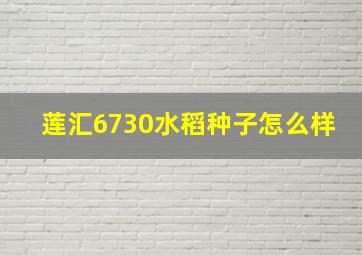 莲汇6730水稻种子怎么样