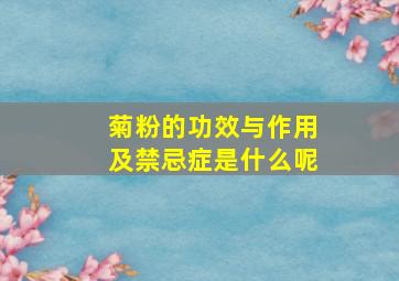 菊粉的功效与作用及禁忌症是什么呢