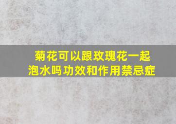 菊花可以跟玫瑰花一起泡水吗功效和作用禁忌症