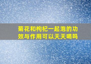 菊花和枸杞一起泡的功效与作用可以天天喝吗