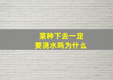 菜种下去一定要浇水吗为什么