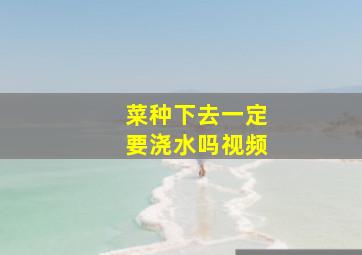 菜种下去一定要浇水吗视频