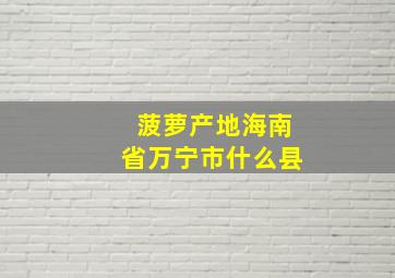 菠萝产地海南省万宁市什么县