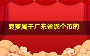 菠萝属于广东省哪个市的