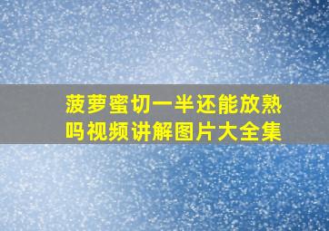 菠萝蜜切一半还能放熟吗视频讲解图片大全集