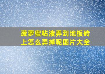 菠萝蜜粘液弄到地板砖上怎么弄掉呢图片大全