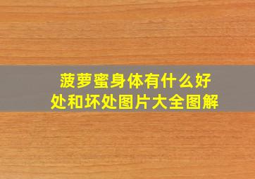 菠萝蜜身体有什么好处和坏处图片大全图解