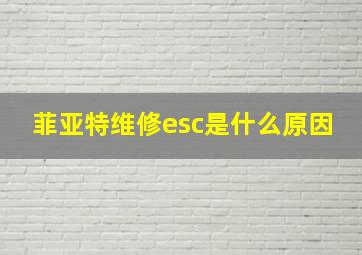 菲亚特维修esc是什么原因