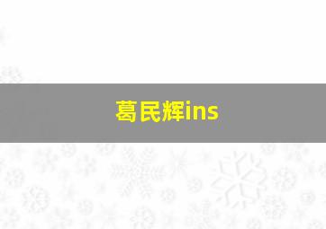 葛民辉ins