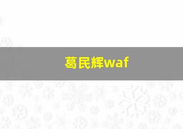 葛民辉waf