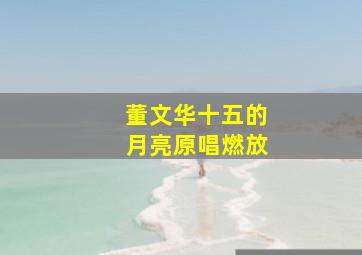 董文华十五的月亮原唱燃放