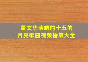 董文华演唱的十五的月亮歌曲视频播放大全